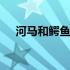 河马和鳄鱼为什么和平共处 河马和鳄鱼