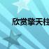 欣赏擎天柱的峰像波浪像愤怒的擎天柱