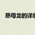 慈母龙的详细介绍视频 慈母龙的详细介绍