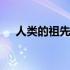 人类的祖先是谁打一字 人类的祖先是谁