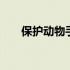 保护动物手抄报内容 保护动物手抄报