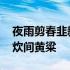 夜雨剪春韭新炊间黄粱的意思 夜雨剪春韭新炊间黄粱