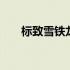 标致雪铁龙是一家公司吗 标致雪铁龙