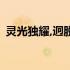 灵光独耀,迥脱根尘.但离妄缘,即如如佛 灵光