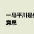一马平川是什么生肖或数字 一马平川是什么意思