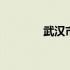 武汉市人口数量 武汉市人口