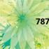 787开头是什么股票 787