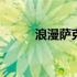 浪漫萨克斯纯音乐 萨克斯纯音乐