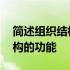 简述组织结构的类型和主要特征 简述组织结构的功能