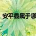 安平县属于哪个地区的 安平县属于哪个市的