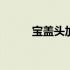 宝盖头加几字念什么 宝盖头加几