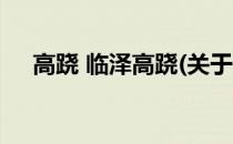 高跷 临泽高跷(关于高跷 临泽高跷简述)