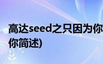 高达seed之只因为你(关于高达seed之只因为你简述)