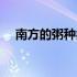 南方的粥种类和做法（南方的粥怎么做）