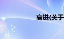 高进(关于高进简述)