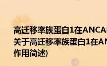 高迁移率族蛋白1在ANCA相关小血管炎发病机制中的作用(关于高迁移率族蛋白1在ANCA相关小血管炎发病机制中的作用简述)