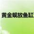黄金蚬放鱼缸没沙能养活吗（黄金蚬怎么养）