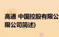 高通 中国控股有限公司(关于高通 中国控股有限公司简述)