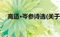 高适·岑参诗选(关于高适·岑参诗选简述)