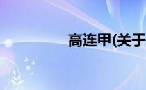 高连甲(关于高连甲简述)