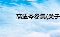 高适岑参集(关于高适岑参集简述)
