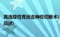高选择性胃迷走神经切断术(关于高选择性胃迷走神经切断术简述)