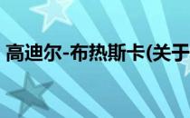 高迪尔-布热斯卡(关于高迪尔-布热斯卡简述)