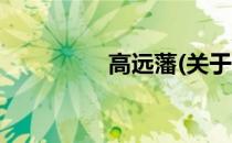 高远藩(关于高远藩简述)