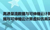 高通量流数据与可伸缩云计算虚拟仿真实验(关于高通量流数据与可伸缩云计算虚拟仿真实验简述)