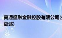 高通盛融金融控股有限公司(关于高通盛融金融控股有限公司简述)