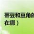 芸豆和豆角的区别是什么（芸豆和豆角的区别在哪）