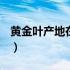 黄金叶产地在哪个地方（黄金叶产地是哪里？）