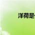 洋荷是什么东西（洋荷是什么）