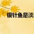 银针鱼是淡水鱼吗（银针鱼是淡水鱼吗）