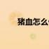 猪血怎么做好吃（猪血怎么做好吃）