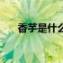 香芋是什么时候种植的（香芋是什么）
