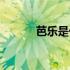 芭乐是什么意思（芭乐是什么）