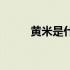 黄米是什么米啊（黄米是什么米）