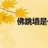 佛跳墙是什么东西（佛跳墙是什么）