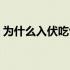 为什么入伏吃包子（为什么入伏吃饺子呢？）