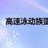 高速泳动族蛋白(关于高速泳动族蛋白简述)