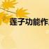 莲子功能作用是什么（莲子作用是什么）