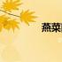 燕菜图片（燕菜是什么？）
