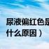 尿液偏红色是什么原因引起的（尿液偏红色是什么原因）