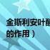 金斯利安叶酸片有必要吃吗（金斯利安叶酸片的作用）
