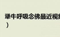 犟牛呼吸念佛最近视频（犟牛居士呼吸念佛法）
