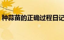 种蒜苗的正确过程日记（种蒜苗的正确过程）