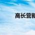 高长营新村(关于高长营新村简述)