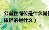 公益性岗位是什么岗位（什么是公益性岗位具体指的是什么）