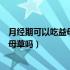 月经期可以吃益母草颗粒和乌鸡白凤丸吗（月经期可以吃益母草吗）